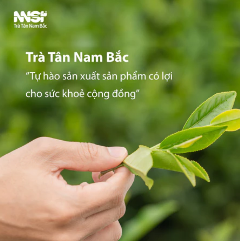 Vietnamese Iced Green Tea Bags Panda Leaf/ Jasmine Scent 200G New Trend