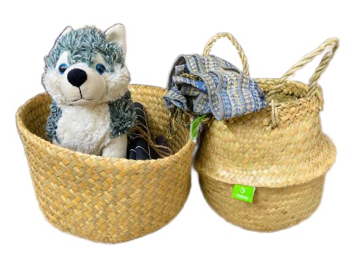 Greenjoy Natural Woven Basket for Storage - Set of 2 - Belly Basket- Plant Basket - Ideal Plant Pot, Laundry & Picnic Basket for Home or Outdoor Use (S L, 2)