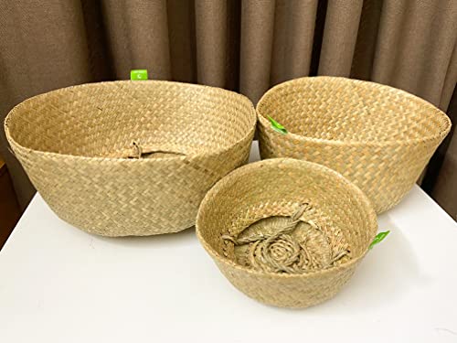 Greenjoy Natural Woven Grass Belly Basket for Storage - Set of 2 - Hand Woven Belly Basket with Handles - Ideal Plant Pot, Laundry & Picnic Basket for Home or Outdoor Use (M L, 2)