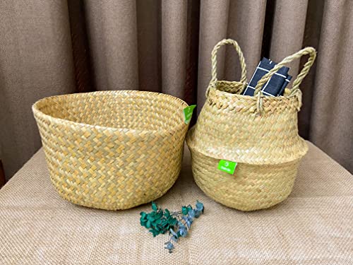 Natural Woven Basket for Storage - Set of 2 - Belly Basket- Plant Basket - Ideal Plant Pot, Laundry & Picnic Basket for Home or Outdoor Use