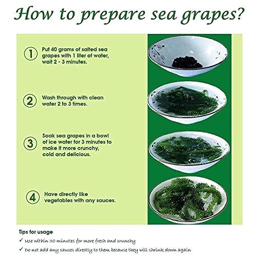 GCAP Sea Grapes - Dehydrated lato - Organic seaweed - Umibudo - Green caviar - Caulerpa lentillifera - Delicious Crunchy Healthy Freshness from the Ocean (7.055 OZ /200g of 10 packs)