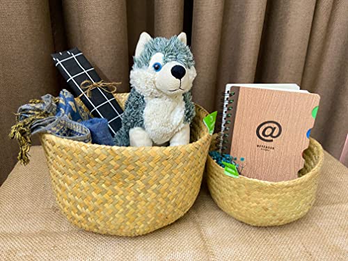 Greenjoy Natural Woven Grass Belly Basket for Storage - Set of 2 - Hand Woven Belly Basket with Handles - Ideal Plant Pot, Laundry & Picnic Basket for Home or Outdoor Use (M L, 2)
