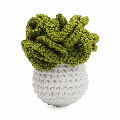 Bok choy Cabbage Handmade Amigurumi Stuffed Toy Knit Crochet Doll VAC