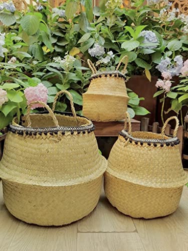 Natural Woven Basket for Storage - Set of 2 - Belly Basket- Plant Basket - Ideal Plant Pot, Laundry & Picnic Basket for Home or Outdoor Use