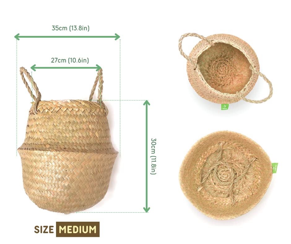 Natural Woven Basket for Storage - Set of 2 - Belly Basket- Plant Basket - Ideal Plant Pot, Laundry & Picnic Basket for Home or Outdoor Use